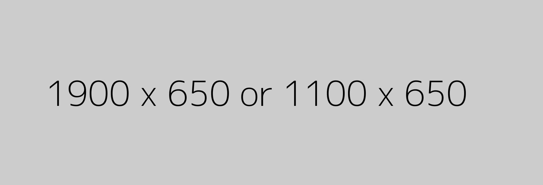 1900x650 or 1100 x 650